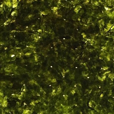 画像5: スッポリ包めて噛み切れるしっとり海苔の直巻きおにぎり用 焼海苔 半切15枚入×2袋