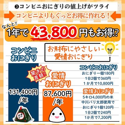 画像7: 国内産 無添加 時短で 安心 安全 美味しいパリパリ海苔のコンビニおにぎりが作れる 中川パリ太郎 半切20枚入