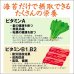 画像13: 令和７海苔年度 黒 焼海苔 江戸前ちば海苔 全形10枚入×1帖 (13)
