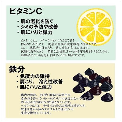 画像12: 令和７海苔年度 黒 焼海苔 江戸前ちば海苔 全形10枚入×1帖