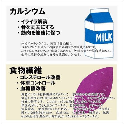 画像11: 令和７海苔年度 黒 焼海苔 江戸前ちば海苔 全形10枚入×1帖
