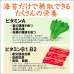 画像7: 木更津・金田産 限定の青まぜ 江戸前ちば海苔 全形10枚入×5帖箱入包装済み (7)