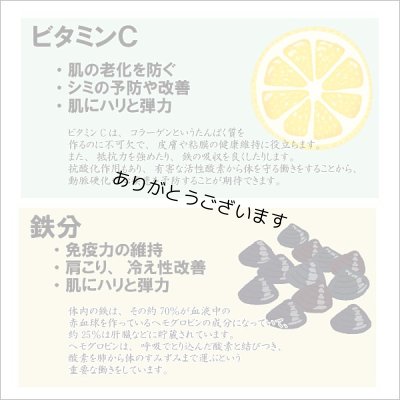 画像10: 令和７海苔年度 青混ぜ 焼海苔 江戸前ちば海苔 全形10枚入×10帖箱入包装済み