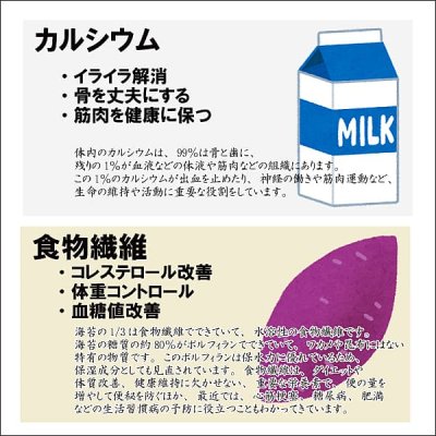 画像9: 木更津・金田産 限定の青まぜ 江戸前ちば海苔 全形10枚入×5帖箱入包装済み