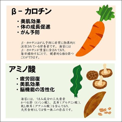 画像8: 木更津・金田産 限定の青まぜ 江戸前ちば海苔 全形10枚入×5帖箱入包装済み