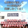 画像10: 選べる味海苔・焼海苔ボトル2個セット(貯金箱になる中川ポコ太郎BOX入) (10)