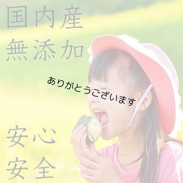 画像8: 令和７海苔年度 青混ぜ 焼海苔 江戸前ちば海苔 全形10枚入×1帖 (8)