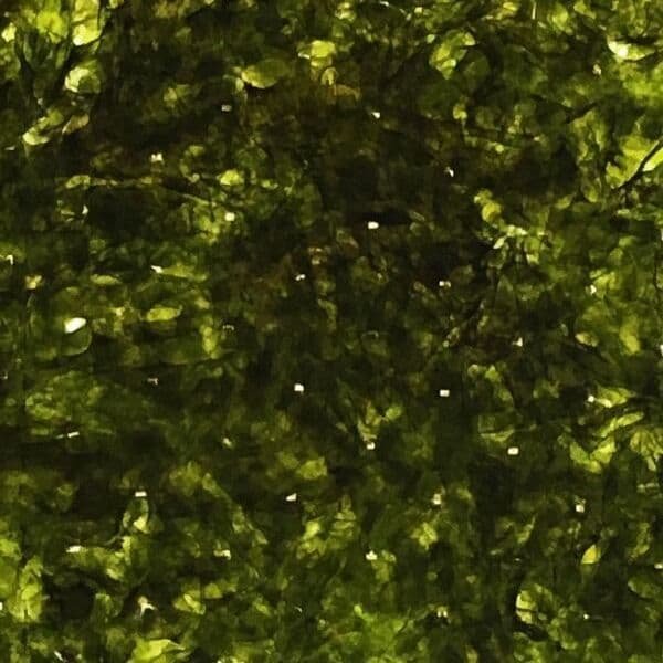 画像5: スッポリ包めて噛み切れるしっとり海苔の直巻きおにぎり用 焼海苔 半切15枚入×1袋 (5)
