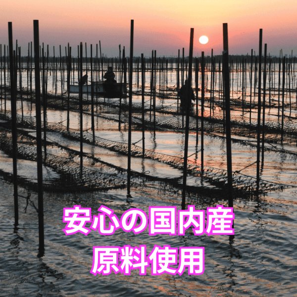 画像6: 【数量限定】パリッサクっ！ 国内産 訳あり 規格外 焼海苔 きずのり 全形50枚入 (6)