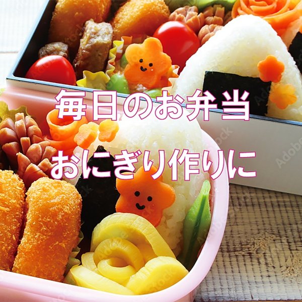 画像8: 【数量限定】パリッサクっ！ 国内産 訳あり 規格外 焼海苔 きずのり 全形50枚入 (8)