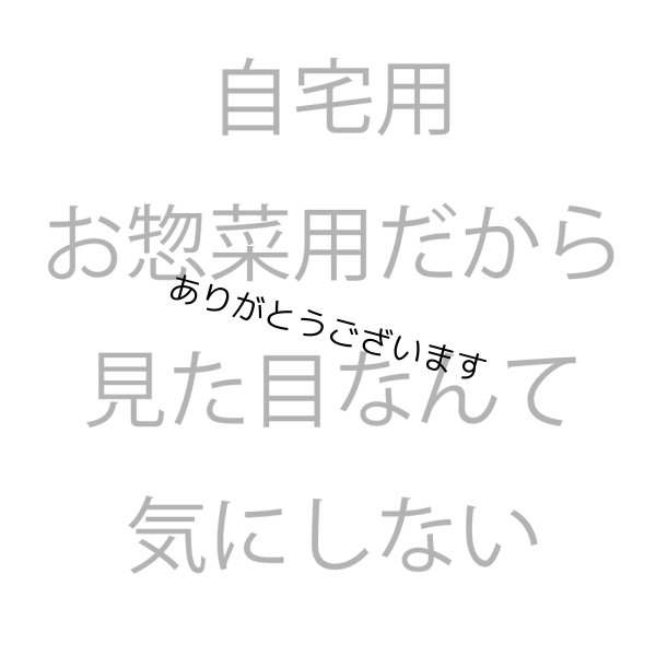 画像11: 【数量限定】パリッサクっ！ 国内産 訳あり 規格外 焼海苔 きずのり 全形50枚入 (11)