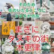 画像6: 選べる味海苔・焼海苔ボトル2個セット(貯金箱になる中川ポコ太郎BOX入) (6)