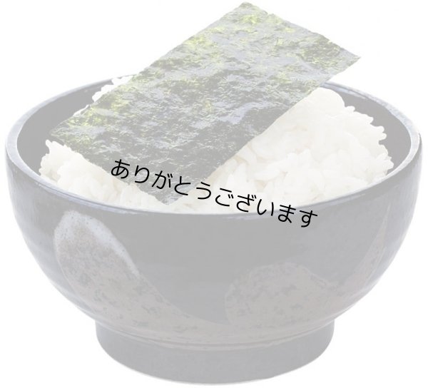 画像20: 【数量限定】パリッサクっ！ 国内産 訳あり 規格外 焼海苔 きずのり 全形50枚入 (20)