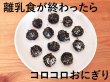 画像15: 【おとな専用】 ふりかける 焼のり ノリッパ NORIPPA 20ｇ (15)